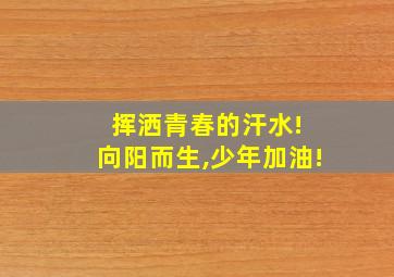 挥洒青春的汗水! 向阳而生,少年加油!